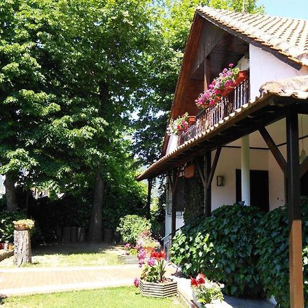 Villa Afroditi Vrasná Extérieur photo